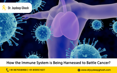 How the Immune System is Being Harnessed to Battle Cancer?