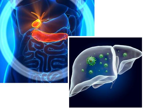 Types of Gallbladder cancer