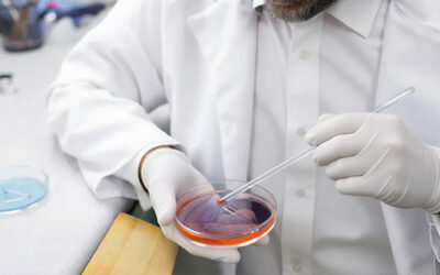 From Biopsy to Treatment: What a Cancer Doctor Actually Does